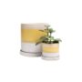 product-231927-1777387003-CHI04-0000300^3